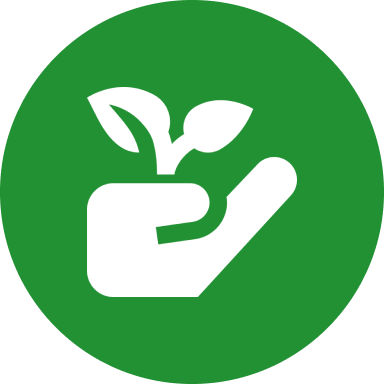 Automated Irrigation Systems