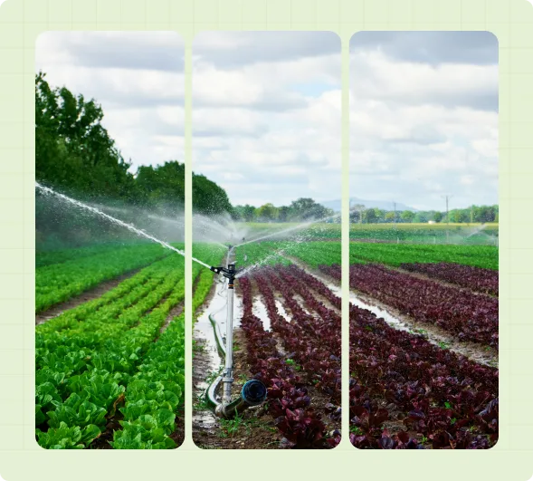 Smart agriculture systems using real-time data and automation to boost productivity, sustainability, and resource efficiency.